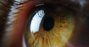 Stress And Aging Eyes Strategies For Preserving Vision In Later Life